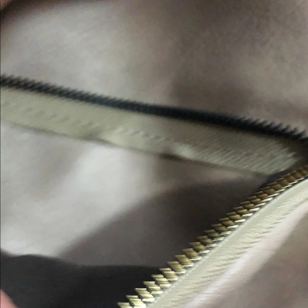Telena Taupe Mini Slingbag with Front Flap and Gold Hardware
